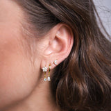 AIALA - Lillys amsterdam