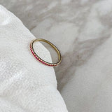 AVA - Lillys amsterdam