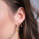 AYALA - Lillys amsterdam