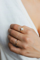 BEATRICE - Lillys amsterdam