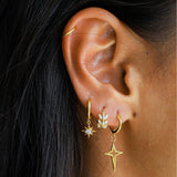 CEASAR - Lillys amsterdam