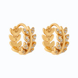 CEASAR - Lillys amsterdam