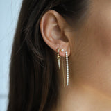 FESTY - Lillys amsterdam