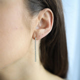 FESTY - Lillys amsterdam