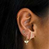 JULI - Lillys amsterdam