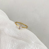 NALA - Lillys amsterdam