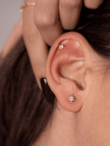 NORTH STAR - Lillys amsterdam