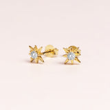 NORTH STAR - Lillys amsterdam