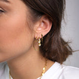 OVAL - Lillys amsterdam