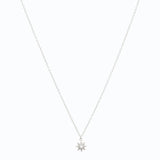 ZOE - Lillys amsterdam