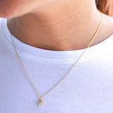 ZOE - Lillys amsterdam