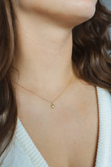 ZOE - Lillys amsterdam