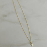 ZOE - Lillys amsterdam